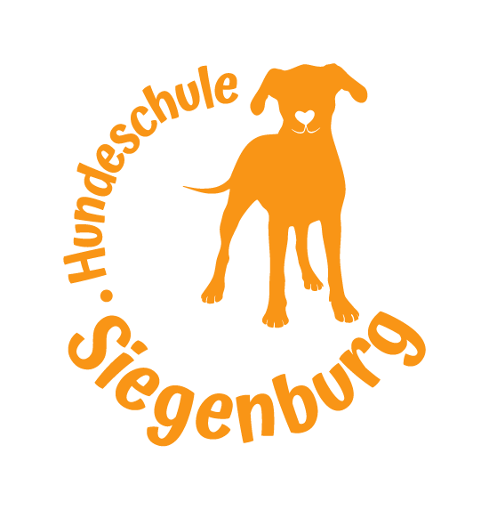 Hundeführerschein Prüfung